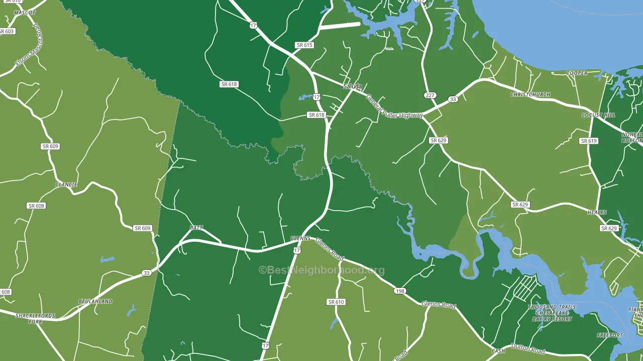 Saluda, VA block-group voter-turnout map