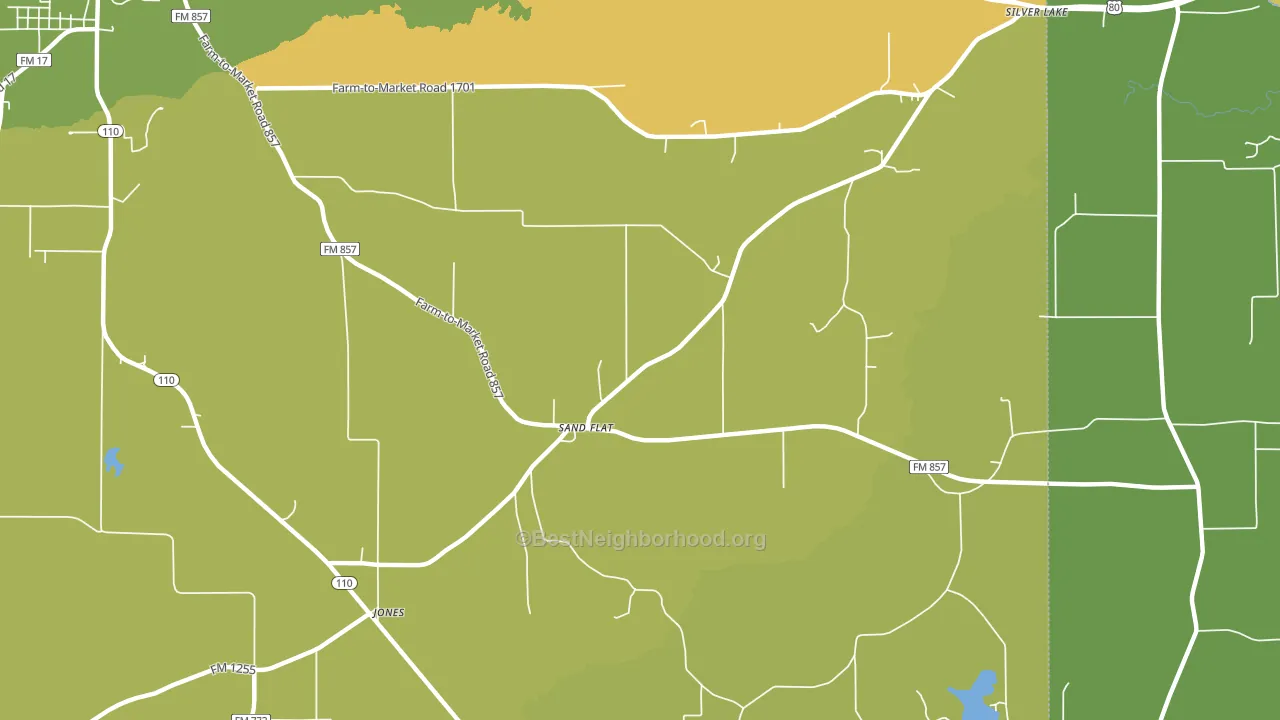 Sand Flat, TX block-group voter-turnout map