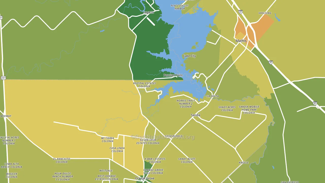 Sandia, TX block-group voter-turnout map