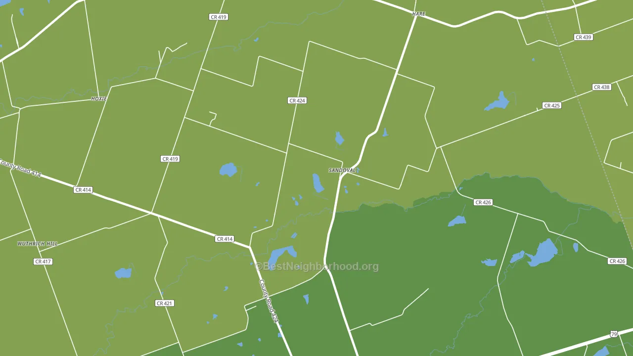 Sandoval, TX block-group voter-turnout map