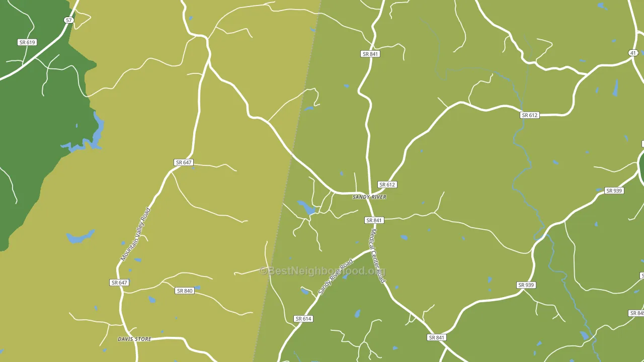 Sandy River, VA block-group voter-turnout map