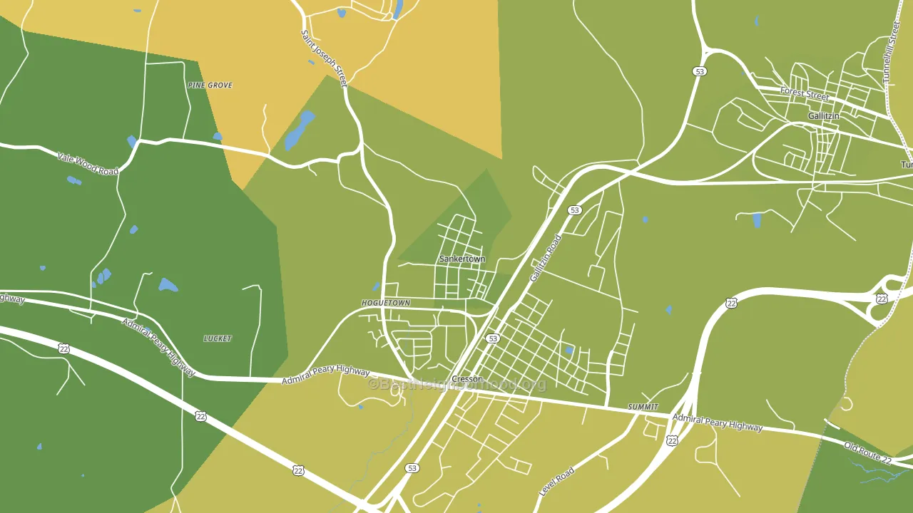 Sankertown, PA block-group voter-turnout map