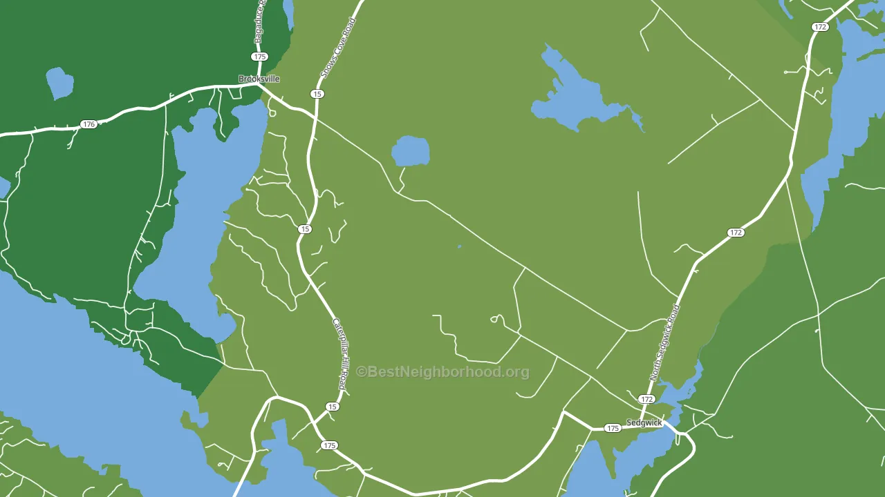 Sargentville, ME block-group voter-turnout map