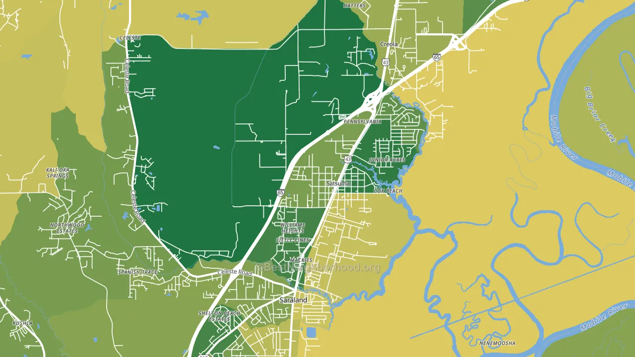 Satsuma, AL block-group voter-turnout map