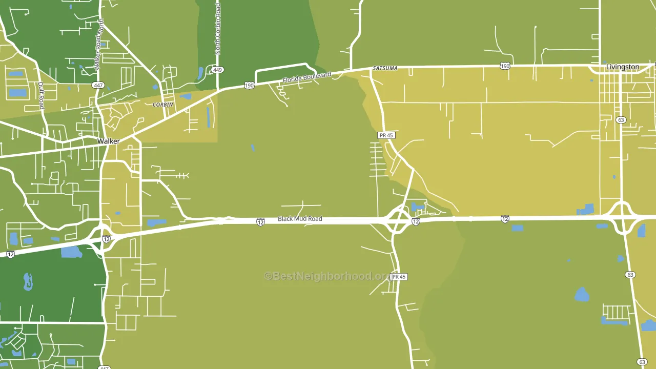 Satsuma, LA block-group voter-turnout map