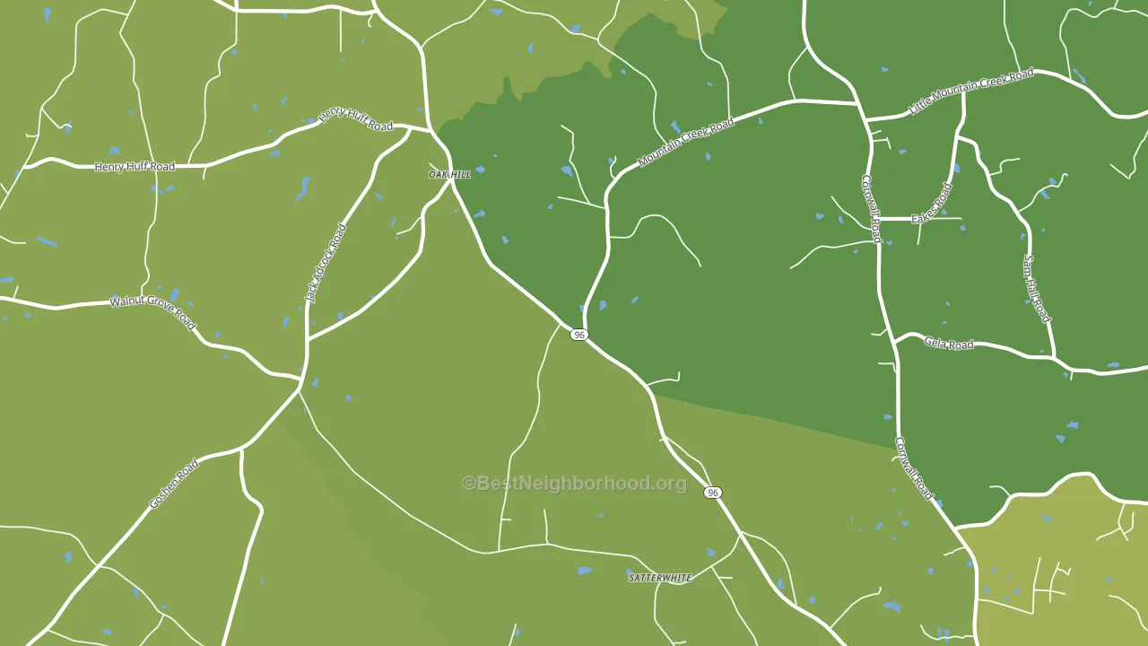 Satterwhite, NC block-group voter-turnout map
