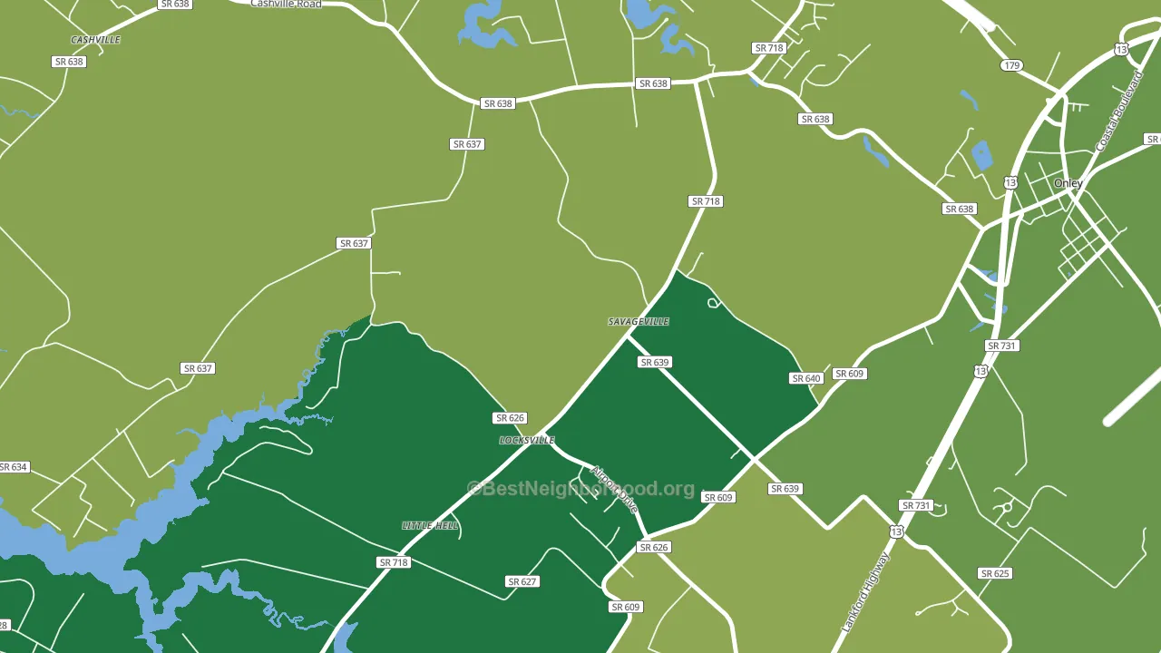Savageville, VA block-group voter-turnout map