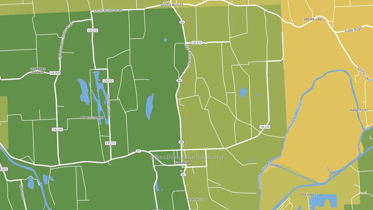 Savannah, NY block-group voter-turnout map