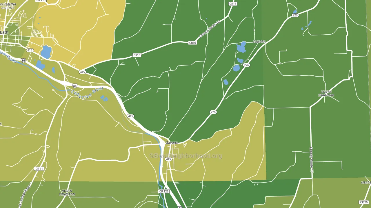 Savona, NY block-group voter-turnout map