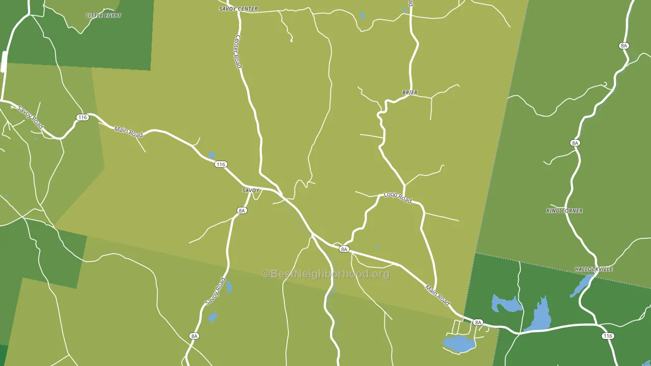 Savoy, MA block-group voter-turnout map
