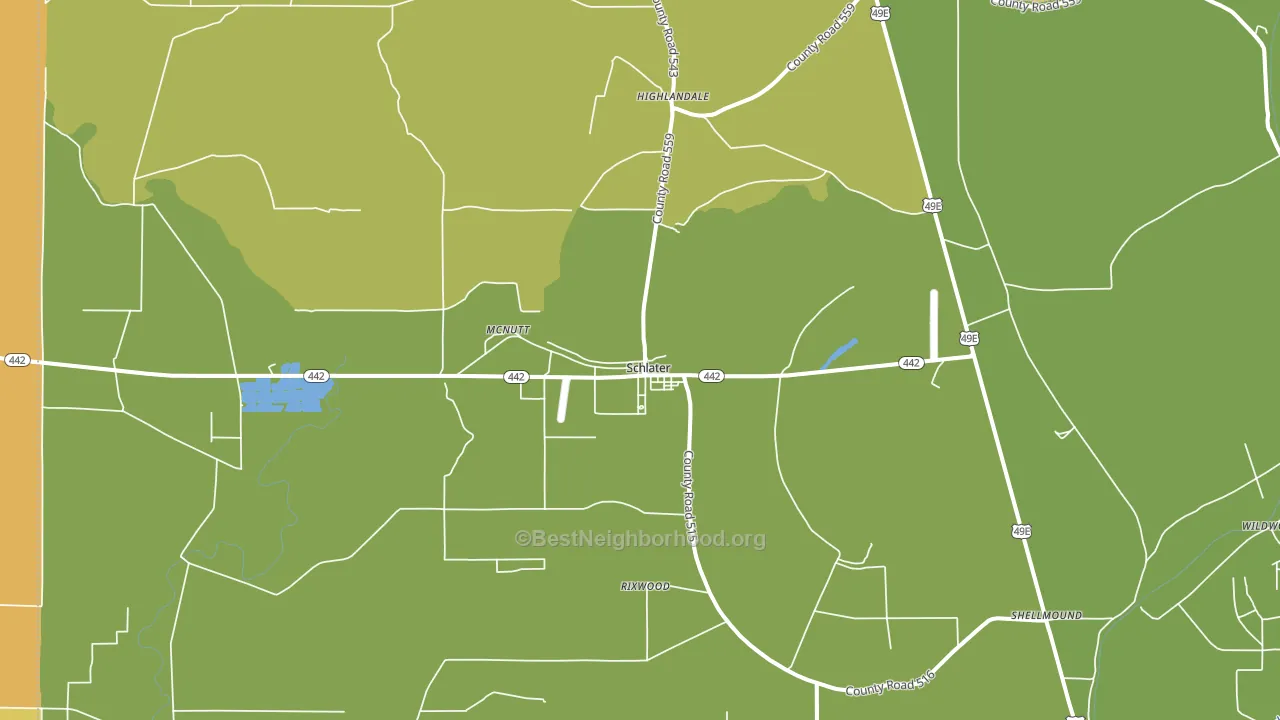 Schlater, MS block-group voter-turnout map