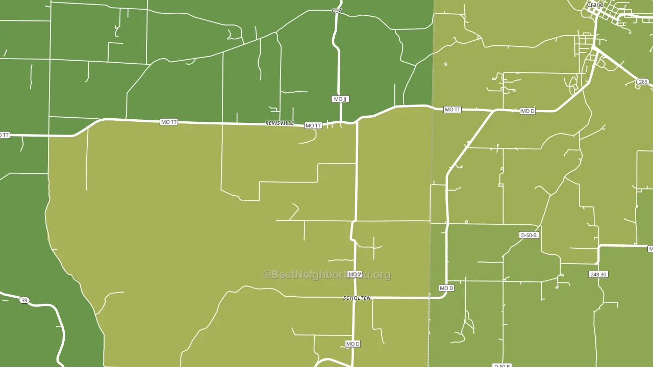 Scholten, MO block-group voter-turnout map