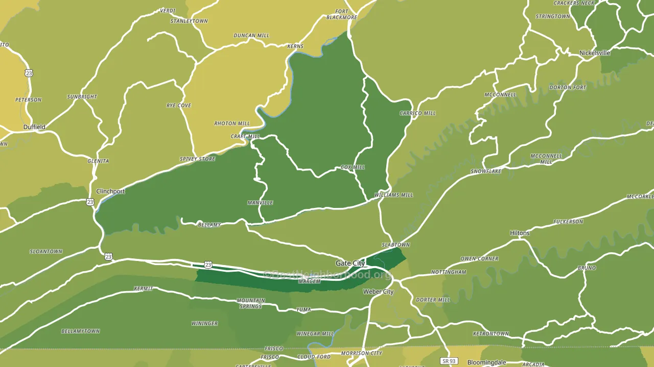 Scott County, VA block-group voter-turnout map
