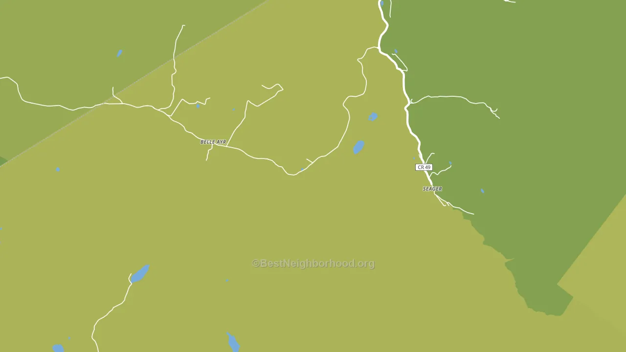 Seager, NY block-group voter-turnout map