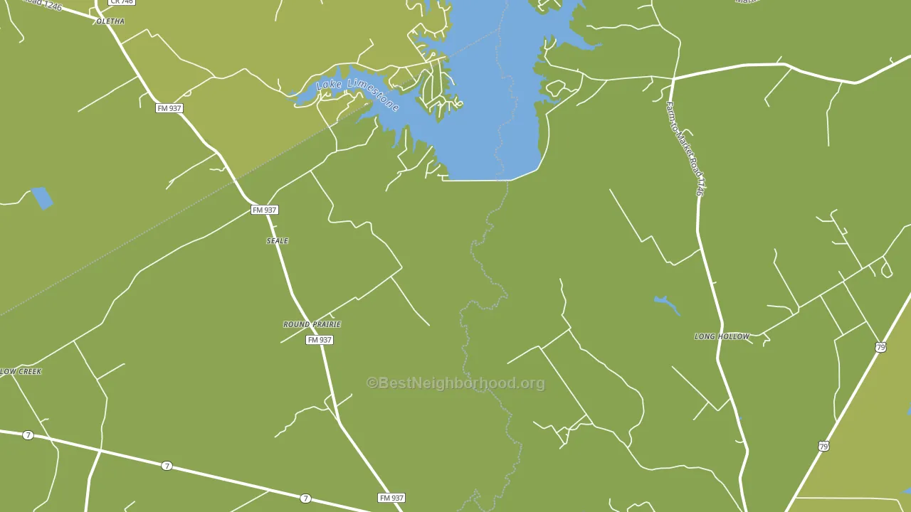 Seale, TX block-group voter-turnout map