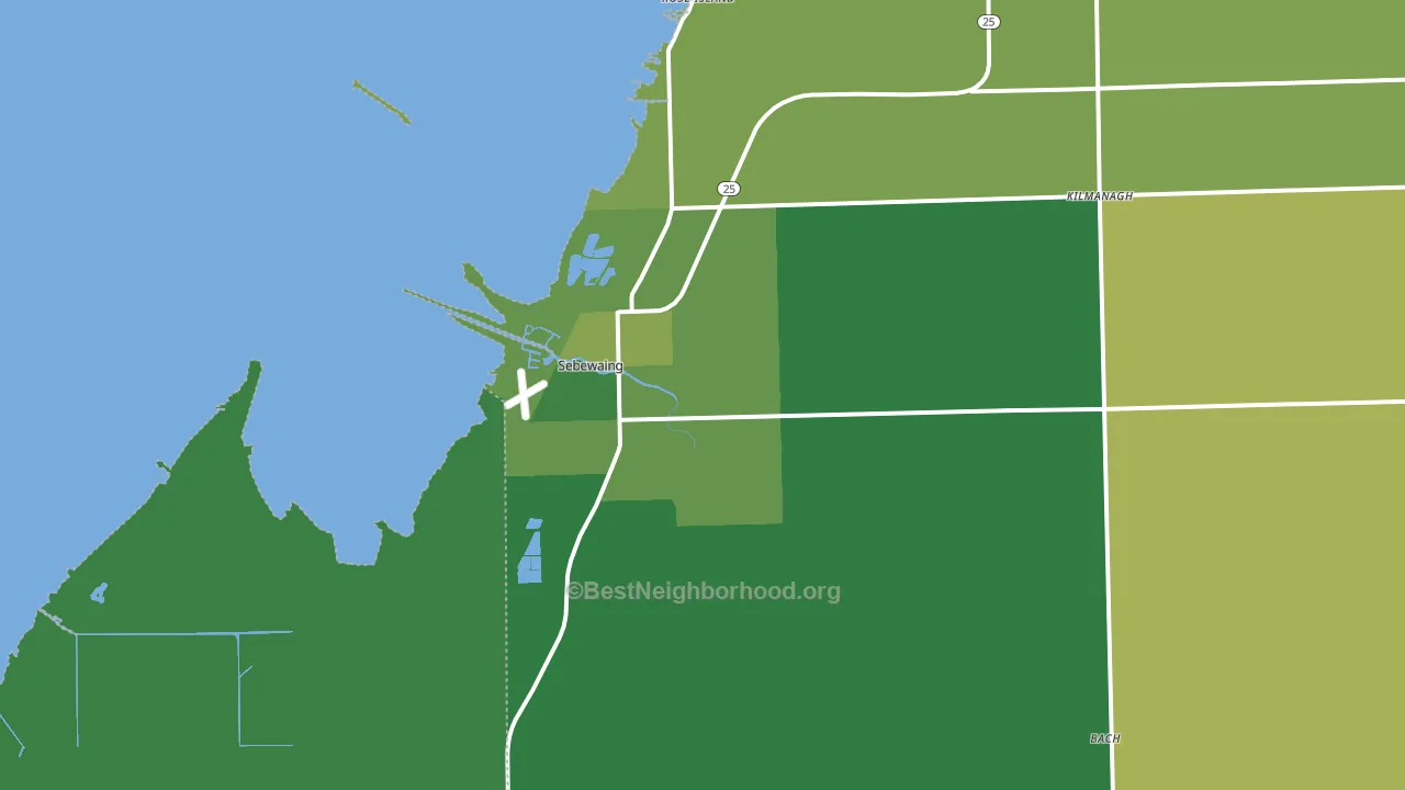 Sebewaing, MI block-group voter-turnout map