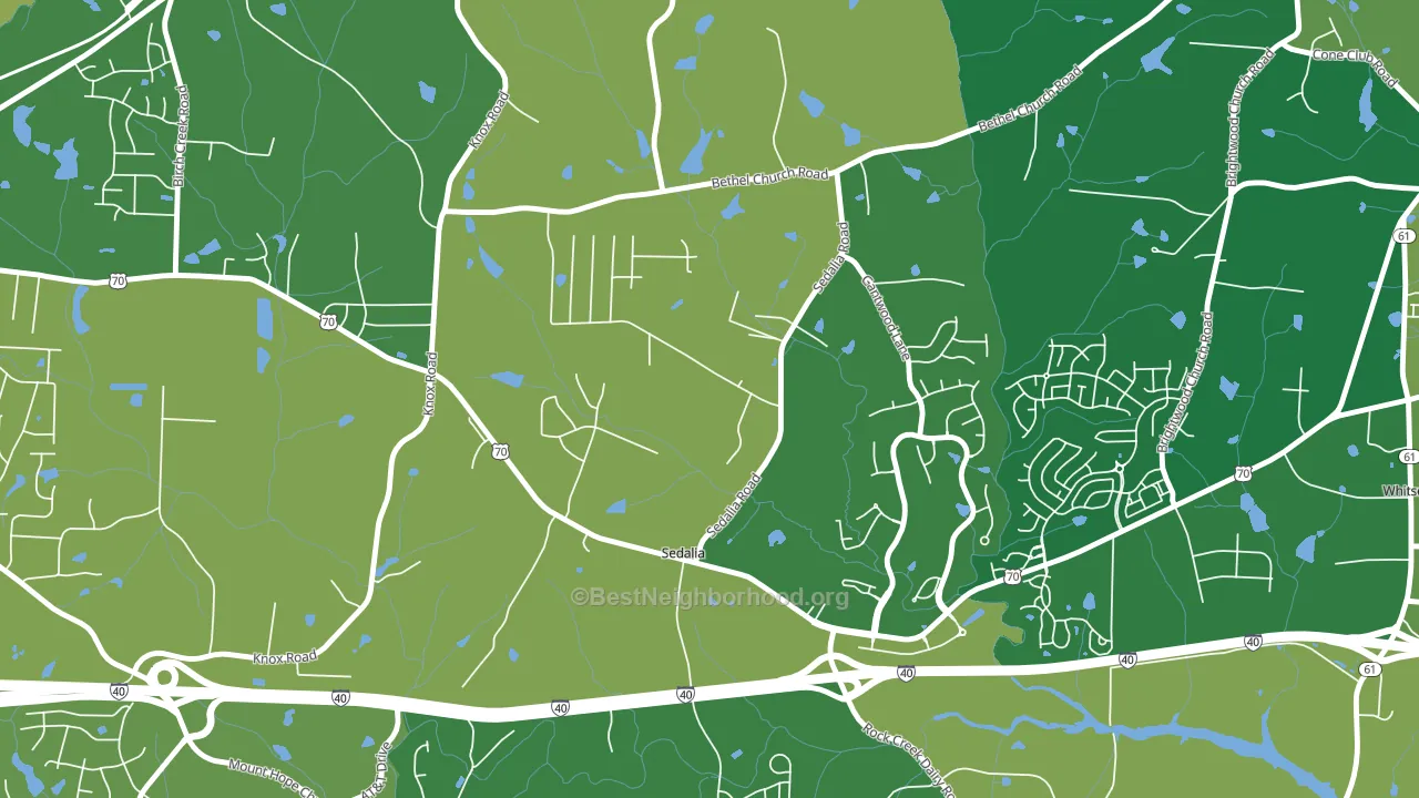 Sedalia, NC block-group voter-turnout map