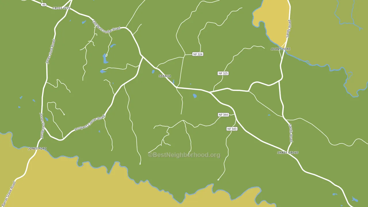 Sedalia, SC block-group voter-turnout map