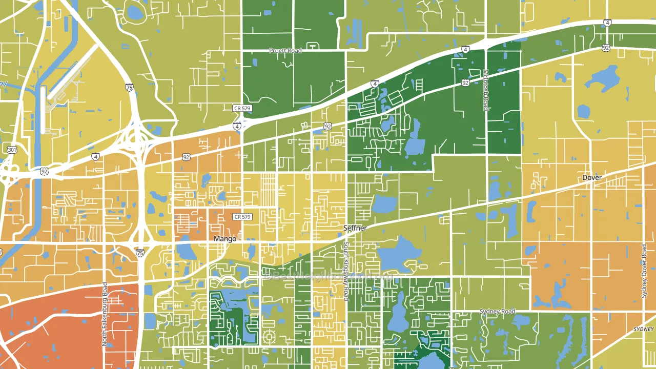 Seffner, FL block-group voter-turnout map