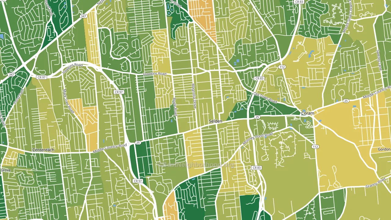 Selden, NY block-group voter-turnout map