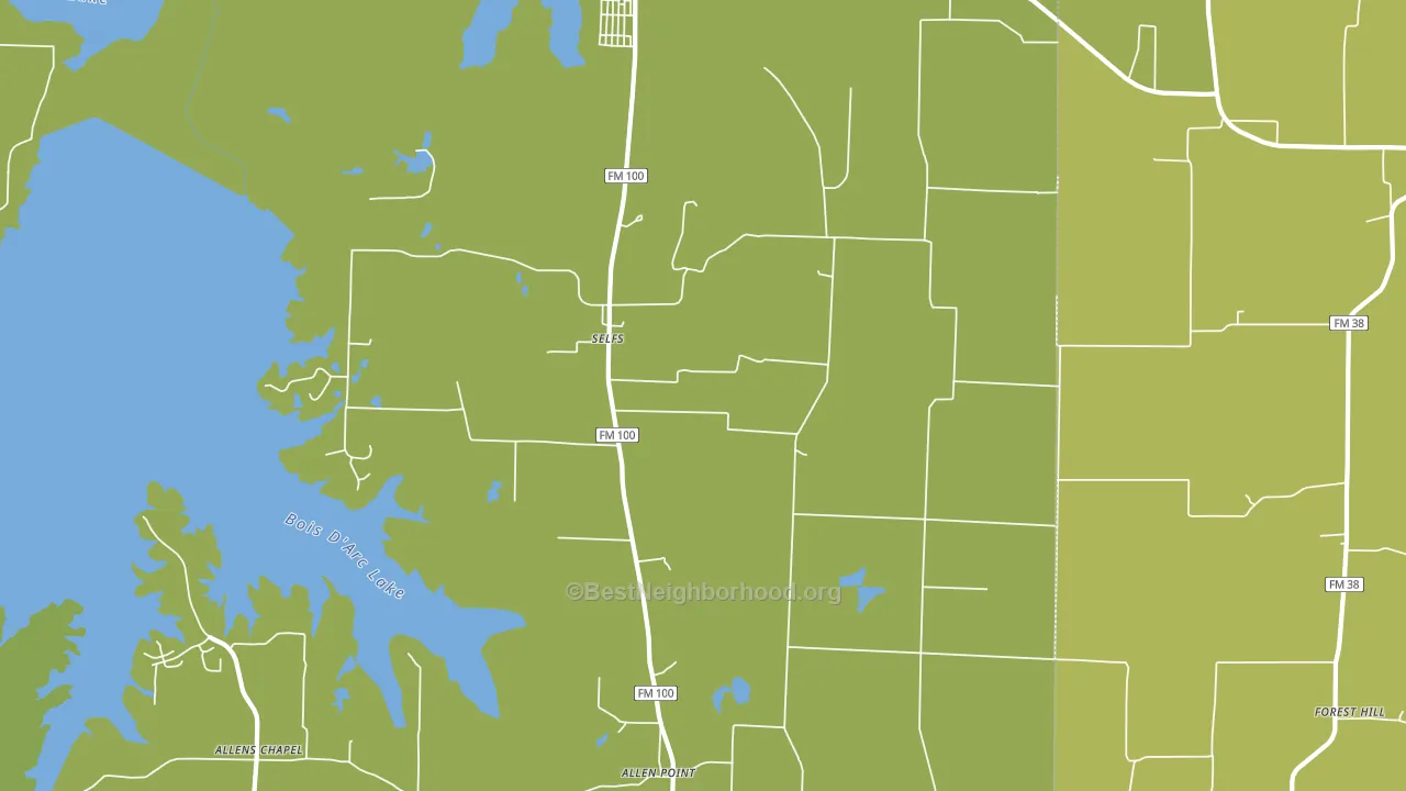 Selfs, TX block-group voter-turnout map