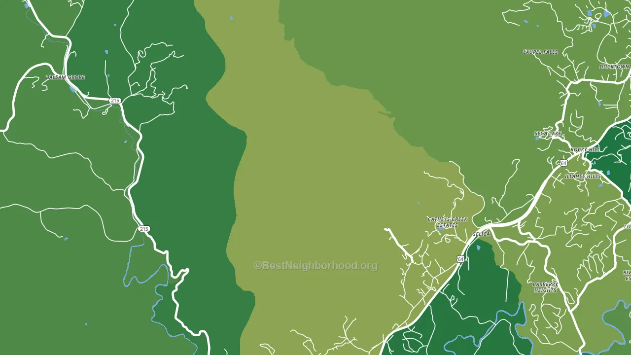 Selica, NC block-group voter-turnout map
