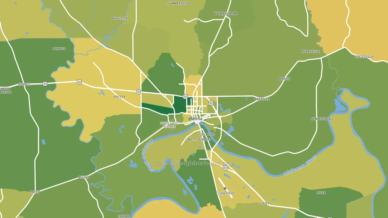 Selma, AL block-group voter-turnout map