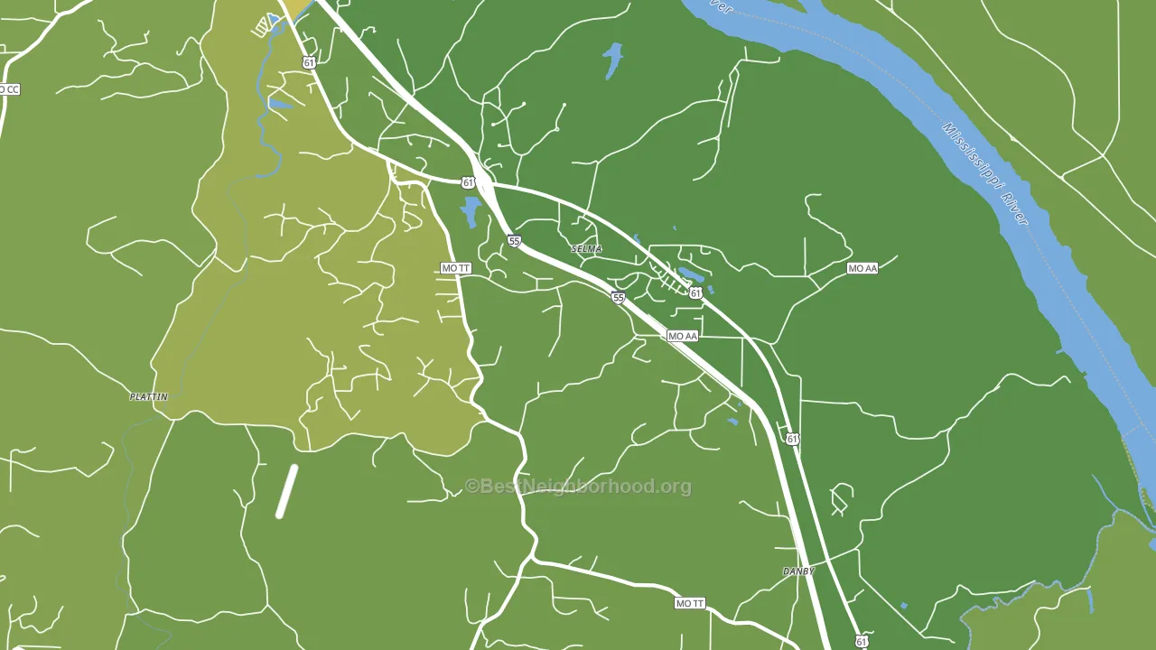 Selma, MO block-group voter-turnout map