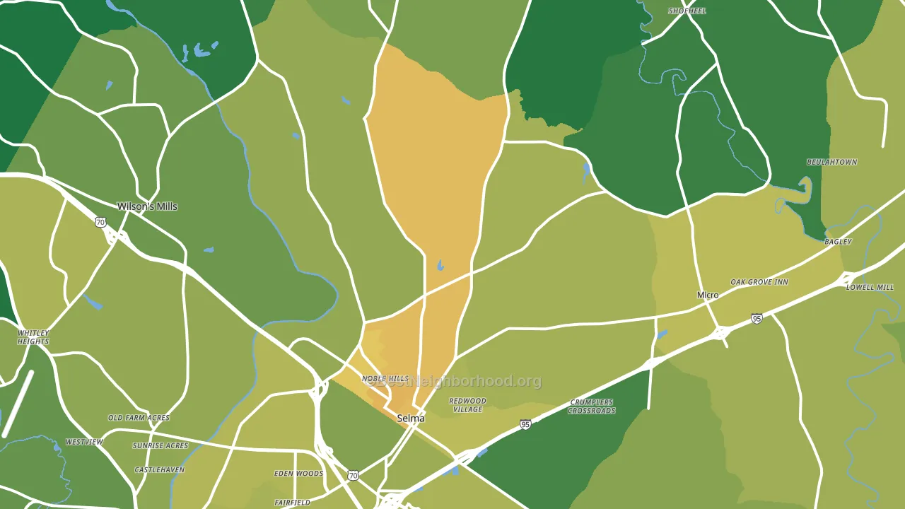 Selma, NC block-group voter-turnout map