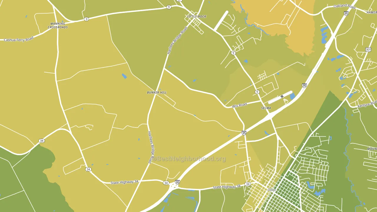 Selma, SC block-group voter-turnout map