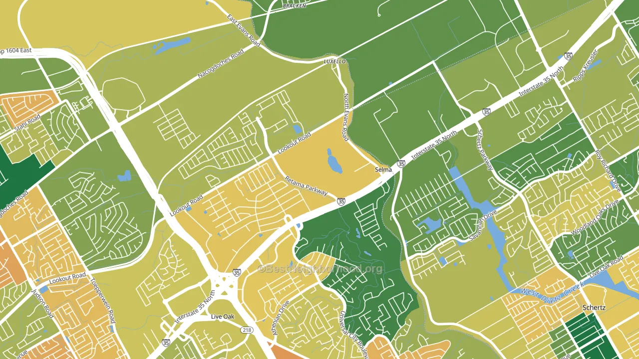 Selma, TX block-group voter-turnout map