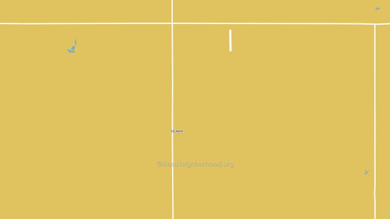 Selman, OK block-group voter-turnout map