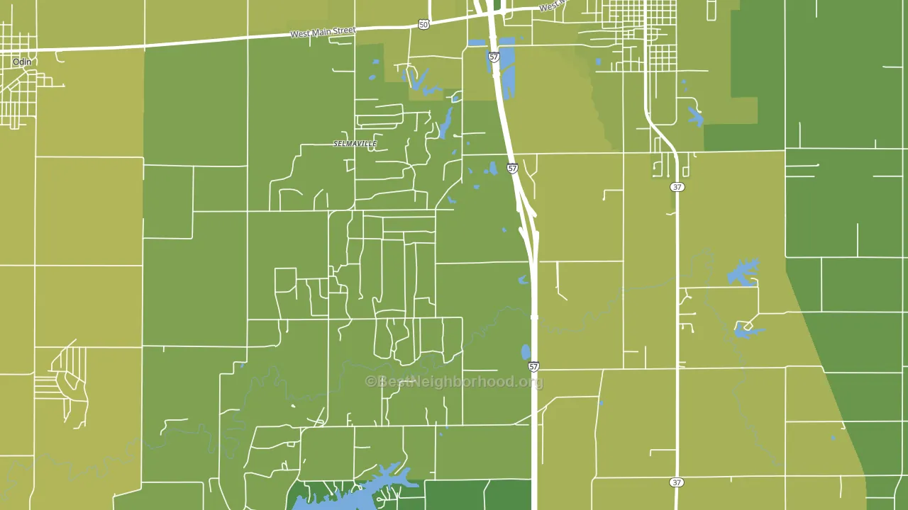 Selmaville, IL block-group voter-turnout map