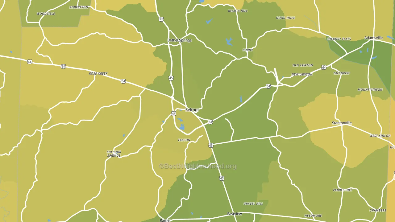 Selmer, TN block-group voter-turnout map