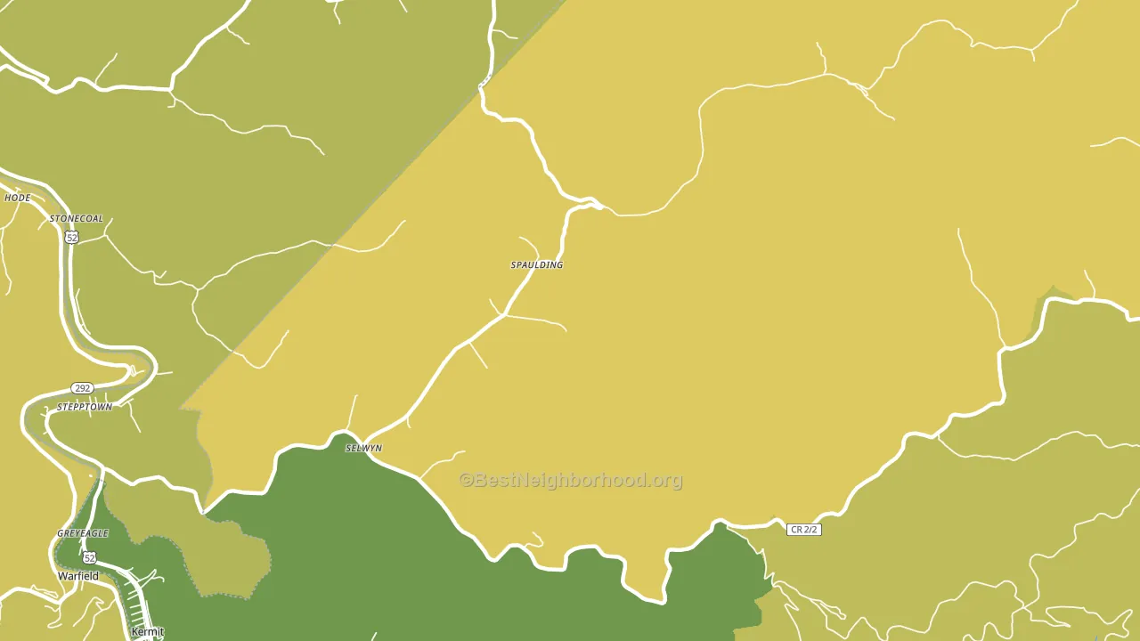 Selwyn, WV block-group voter-turnout map