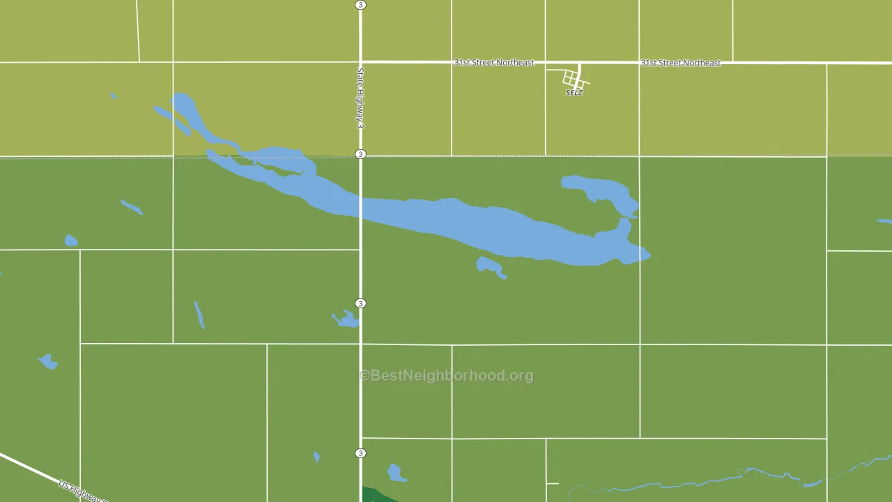 Selz, ND block-group voter-turnout map