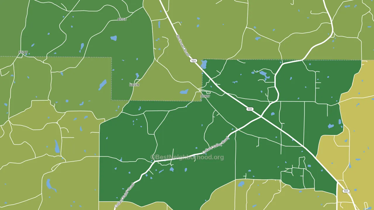 Seney, GA block-group voter-turnout map