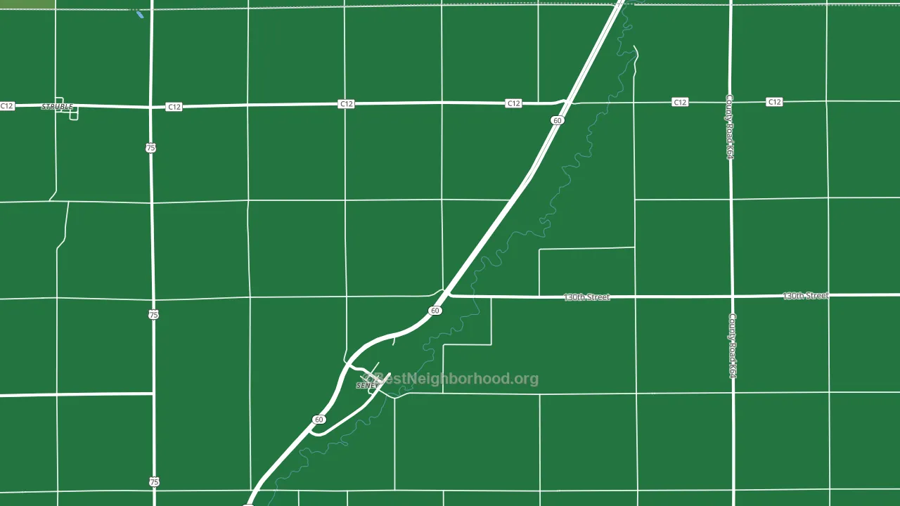 Seney, IA block-group voter-turnout map