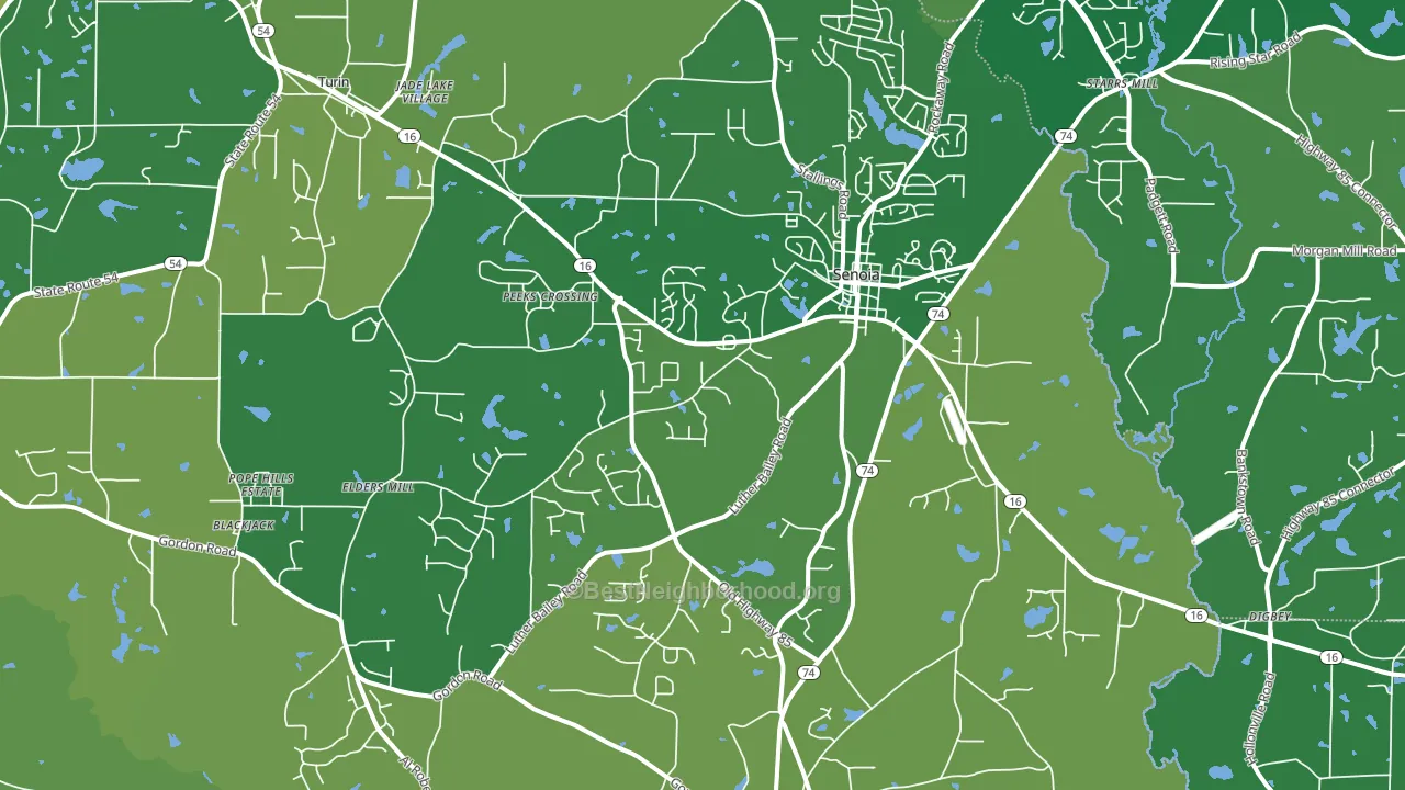 Senoia, GA block-group voter-turnout map