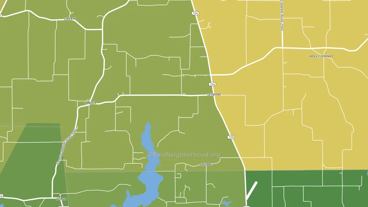 Seymore, TX block-group voter-turnout map