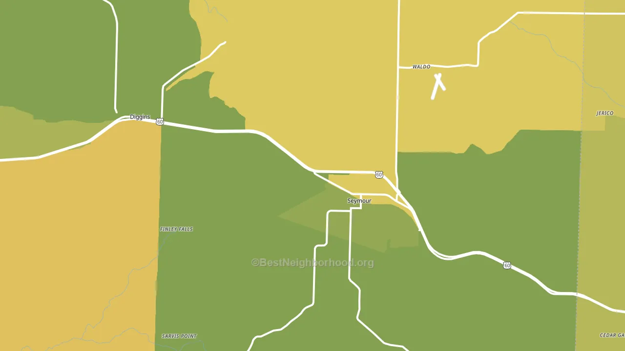 Seymour, MO block-group voter-turnout map