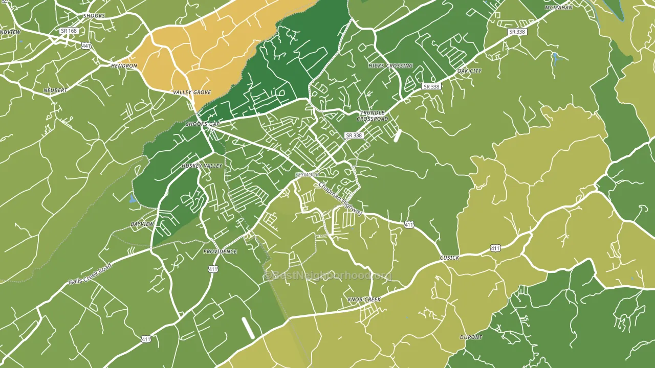 Seymour, TN block-group voter-turnout map
