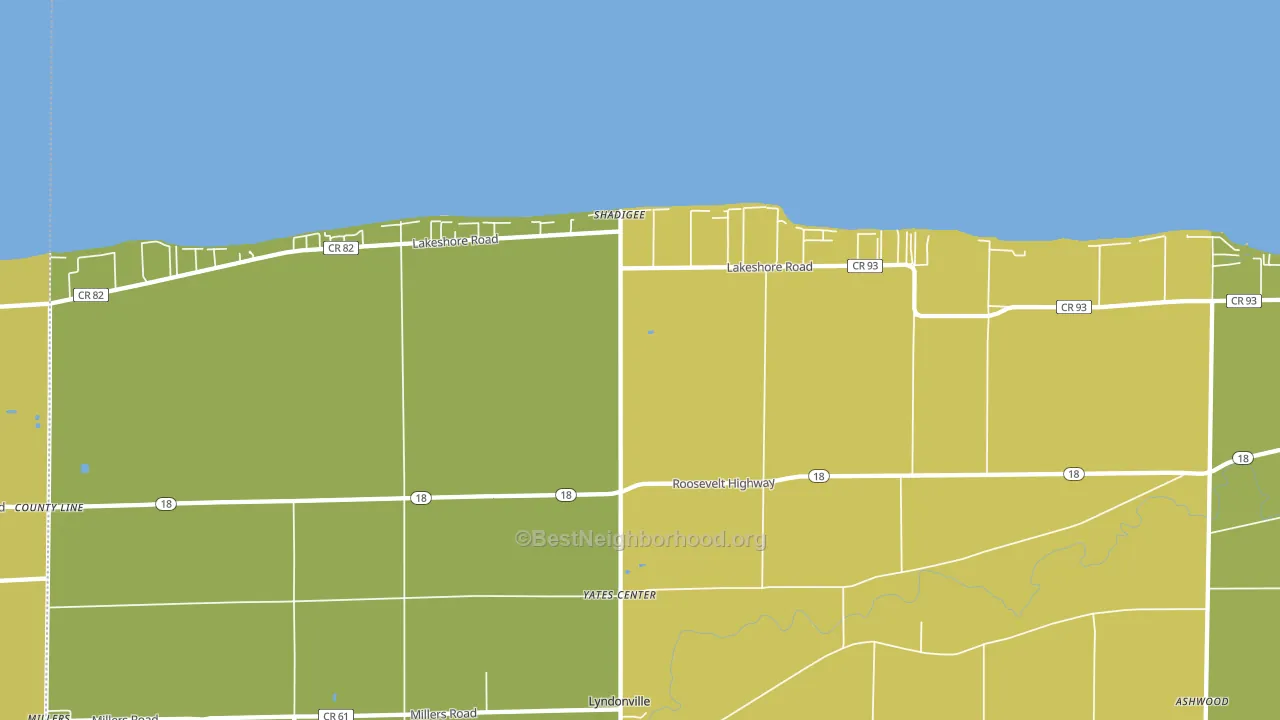 Shadigee, NY block-group voter-turnout map