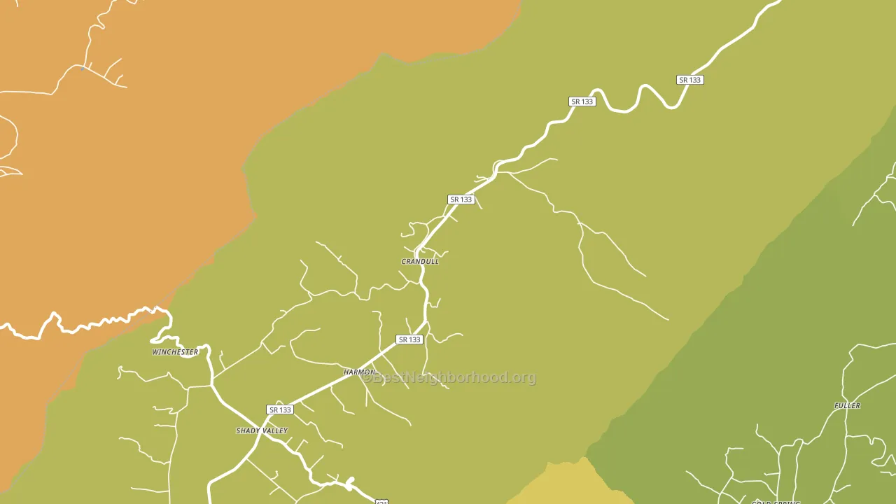 Shady Valley, TN block-group voter-turnout map