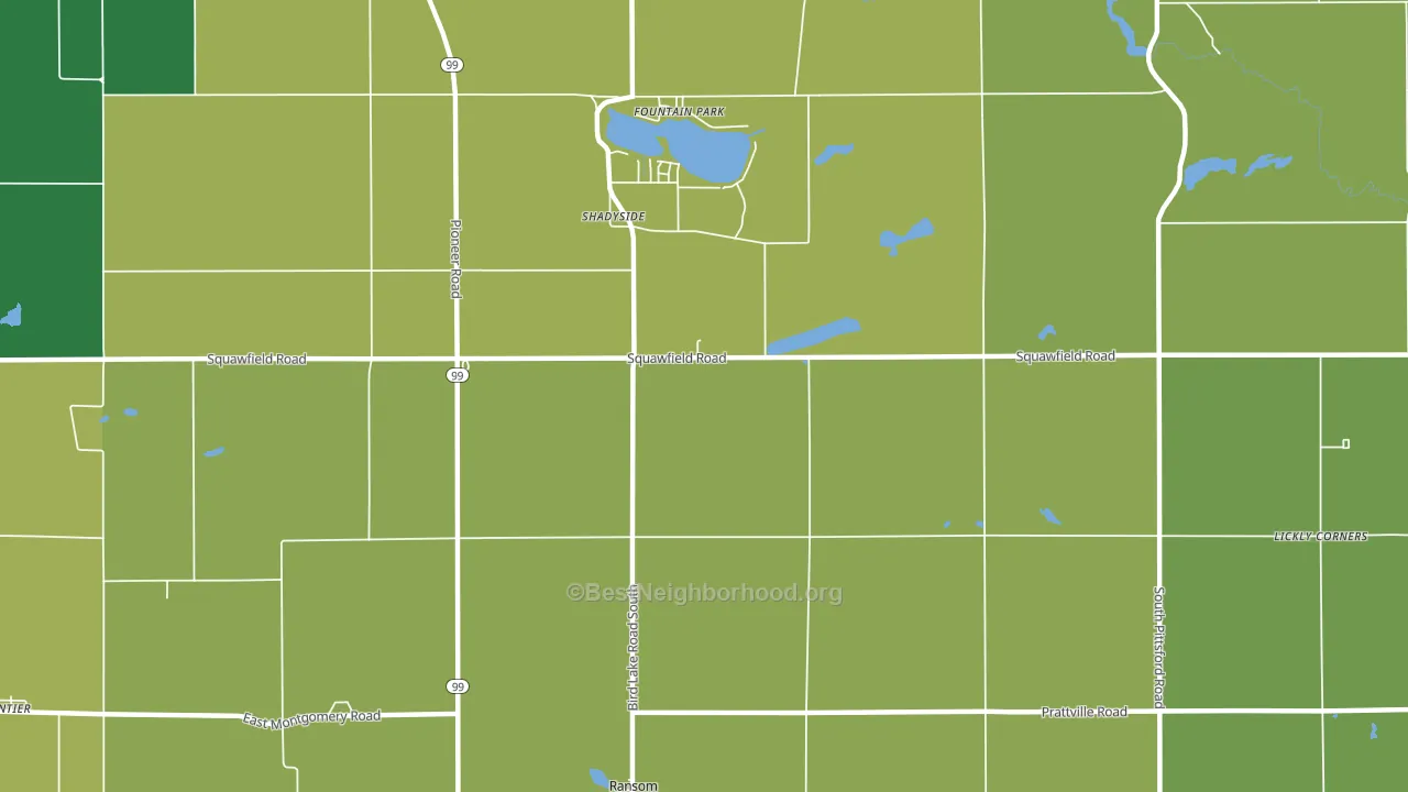 Shadyside, MI block-group voter-turnout map