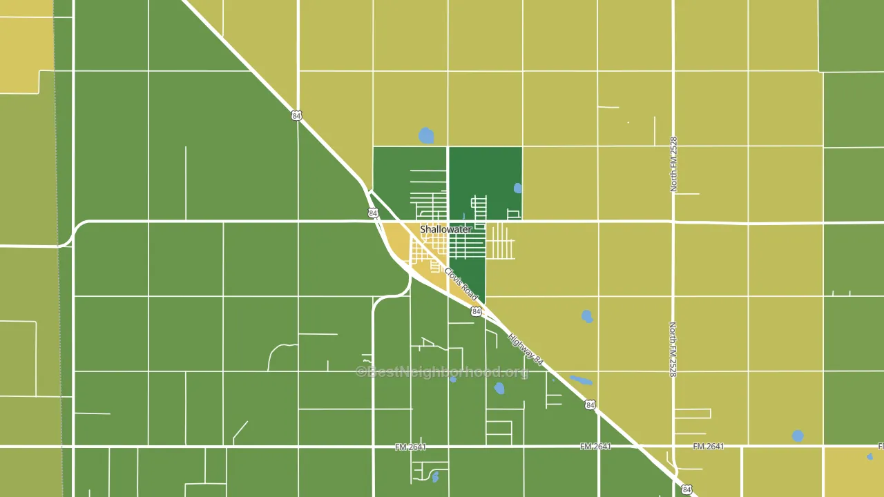 Shallowater, TX block-group voter-turnout map