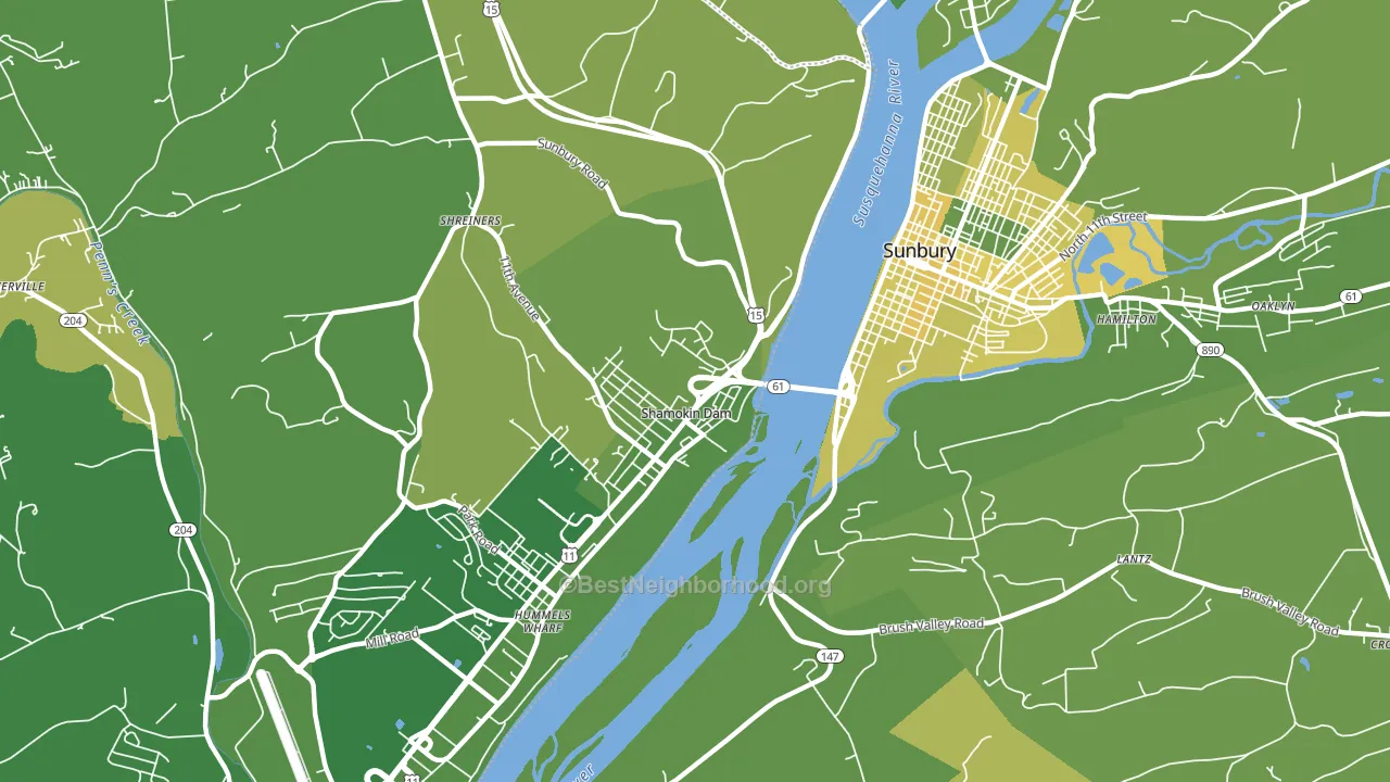 Shamokin Dam, PA block-group voter-turnout map