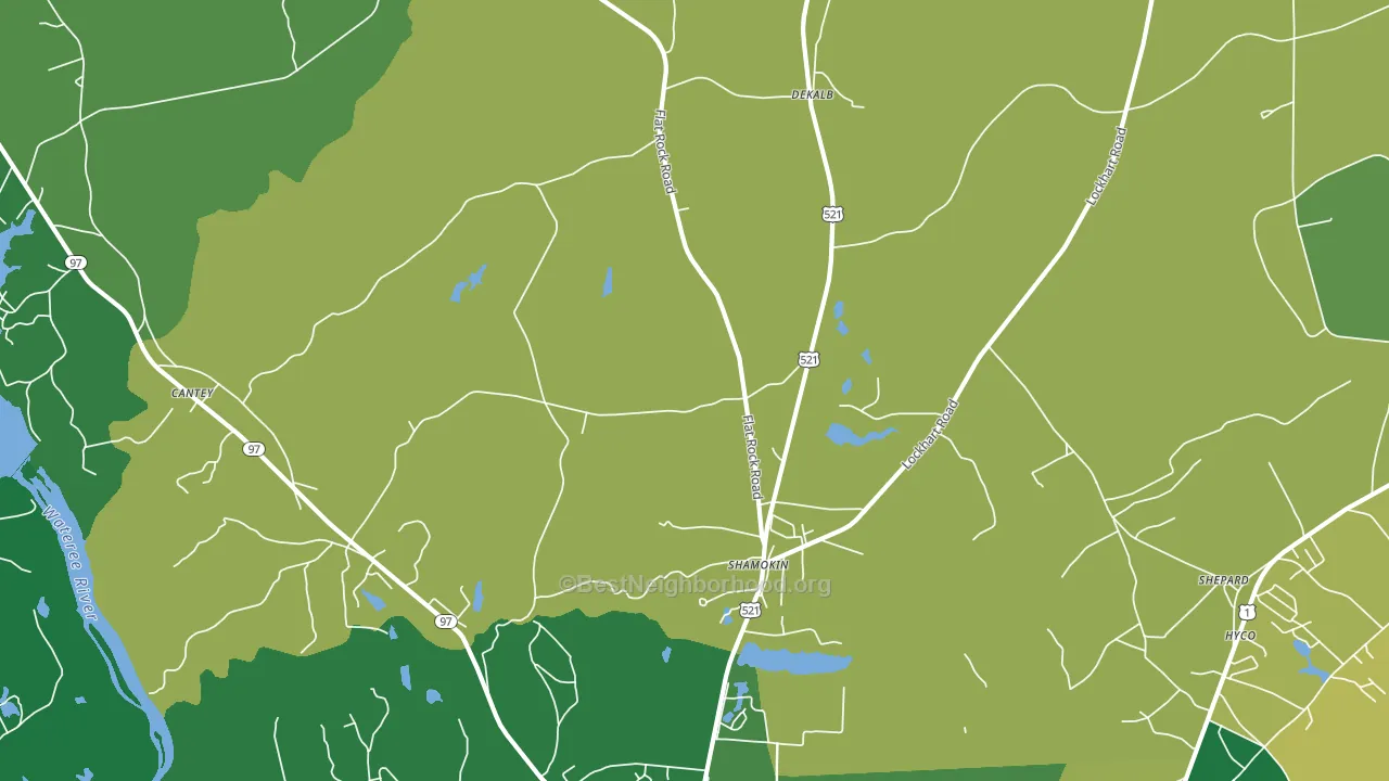 Shamokin, SC block-group voter-turnout map