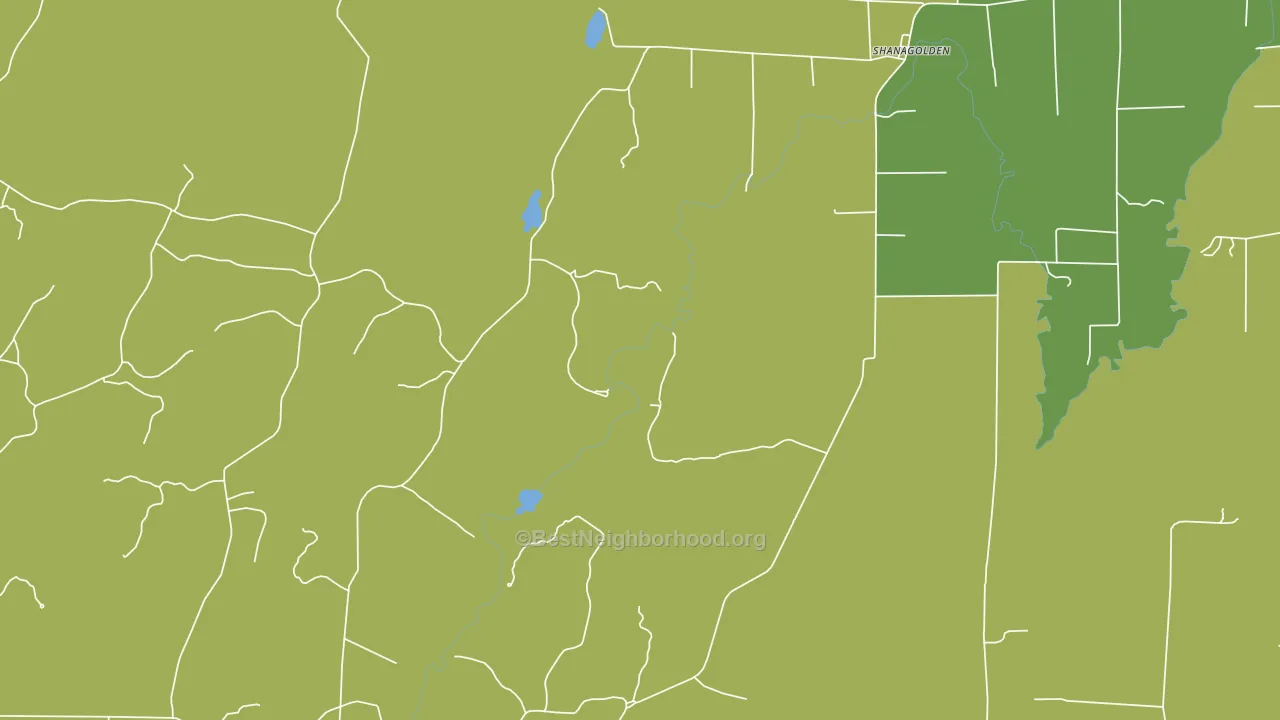 Shanagolden, WI block-group voter-turnout map