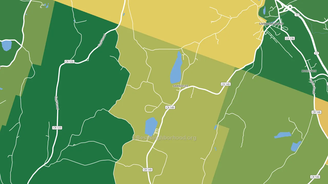 Shandelee, NY block-group voter-turnout map